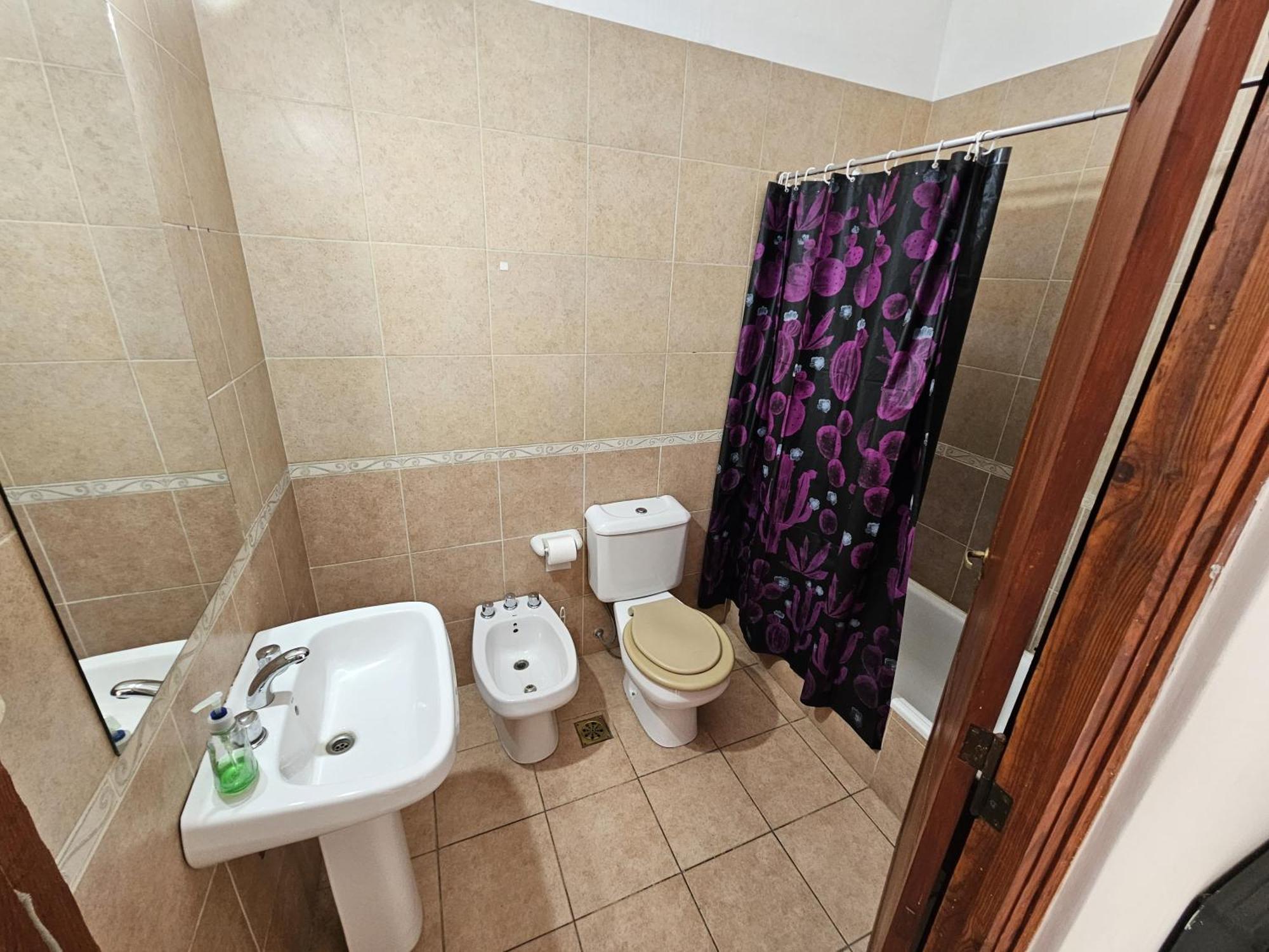Apartamento Depto Centrico Con Gran Terraza *